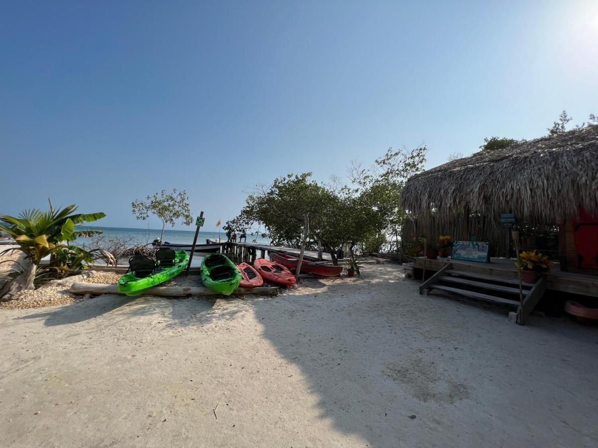 Santa Lova Eco-Hostel Isla Tintipan Tintipan Island エクステリア 写真