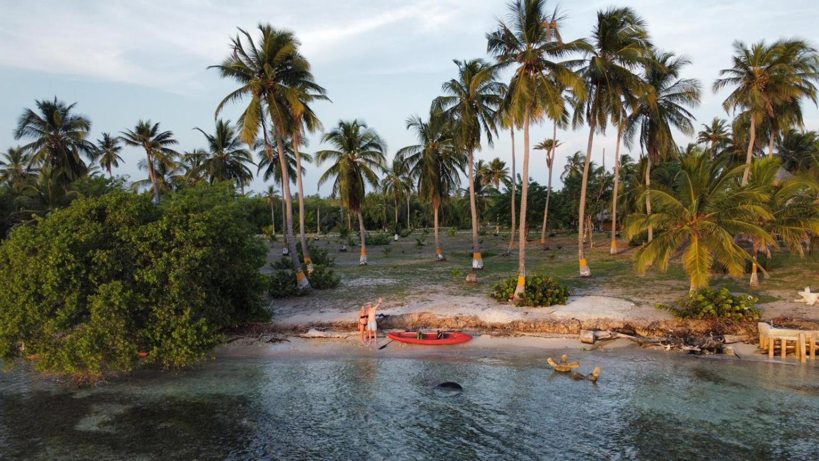 Santa Lova Eco-Hostel Isla Tintipan Tintipan Island エクステリア 写真