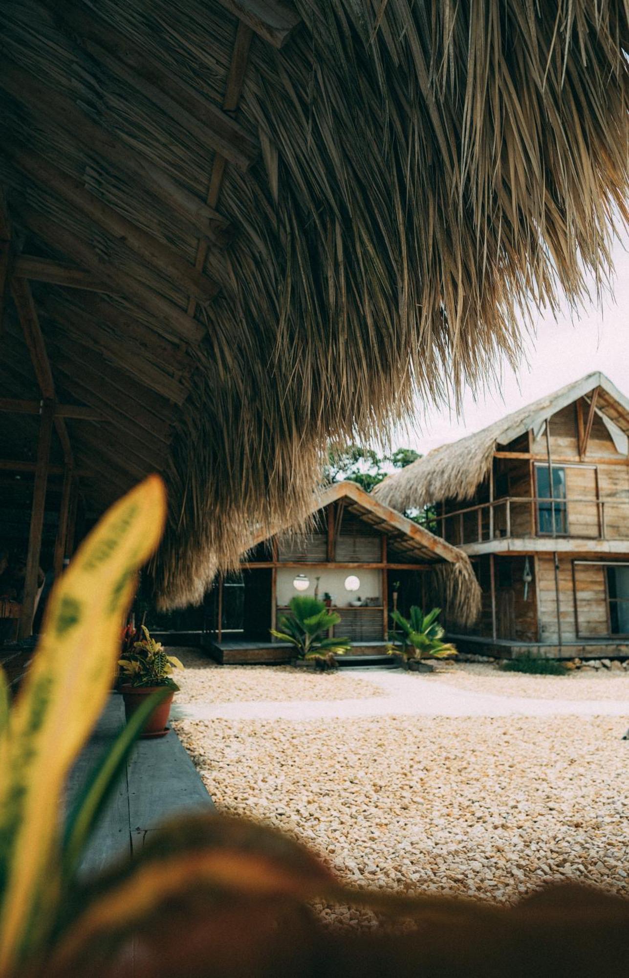 Santa Lova Eco-Hostel Isla Tintipan Tintipan Island エクステリア 写真